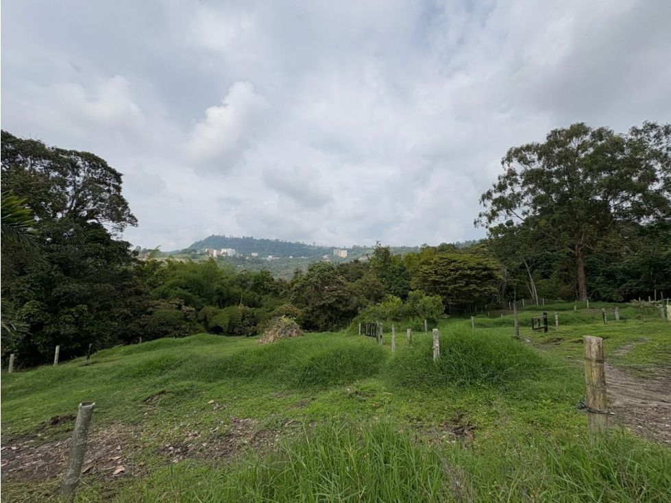 Lote en venta Caldas Manizales Manizales 2338 m2 Habitaciones 0 Baños 0 Garajes 0 Precio $500000000