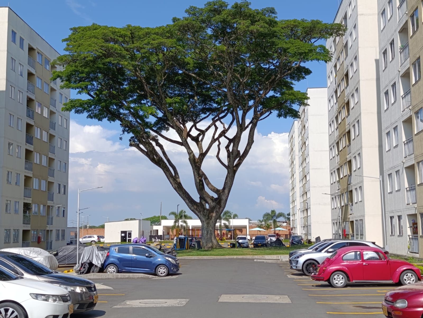 Apartamento en arriendo Valle Del Cauca Jamundí Br Sachamate 60 m2 Habitaciones 3 Baños 2 Garajes 1 Precio $1302650