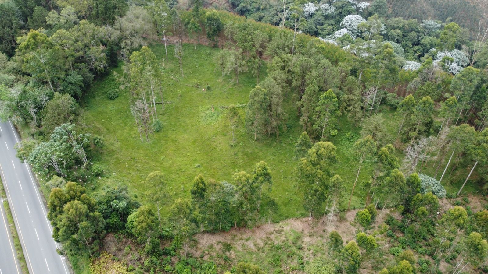 Lote en venta Risaralda Pereira Jardin De Velez Y Velez 14767 m2 Habitaciones 0 Baños 0 Garajes 0 Precio $620000000