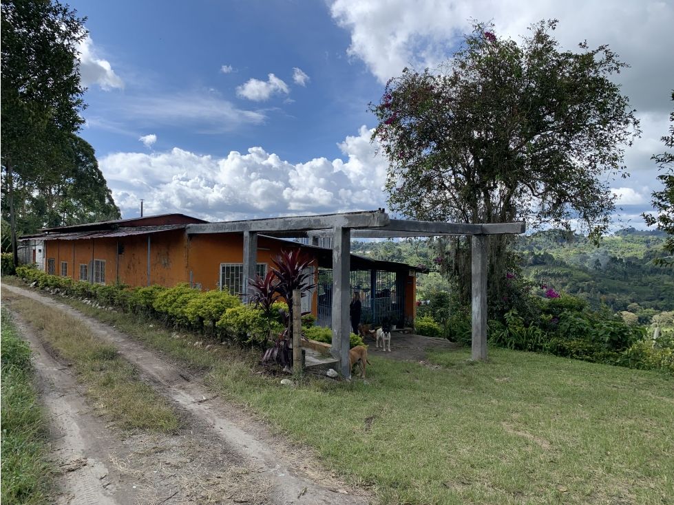 Finca en venta Quindío Calarcá Calarcá 75900 m2 Habitaciones 3 Baños 1 Garajes 3 Precio $950000000