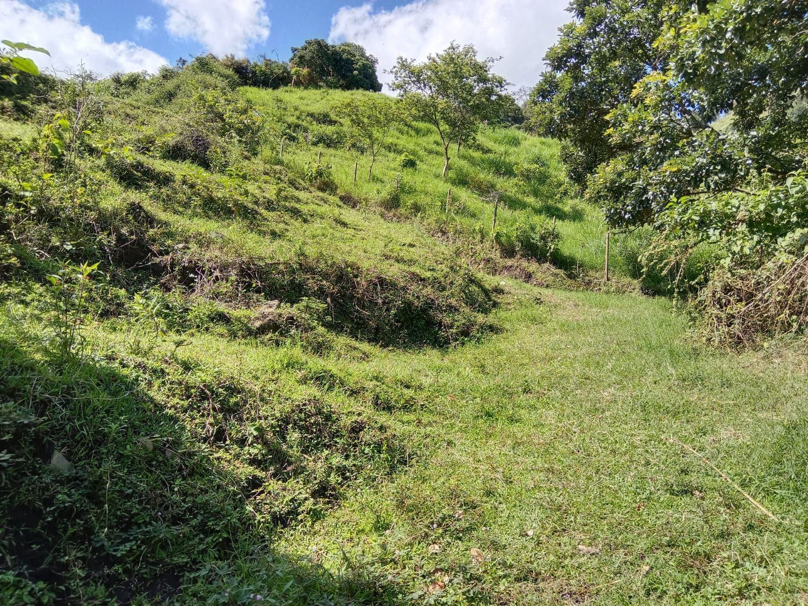 Lote en venta Antioquia Girardota Girardota 3642 m2 Habitaciones 0 Baños 0 Garajes 0 Precio $560000000