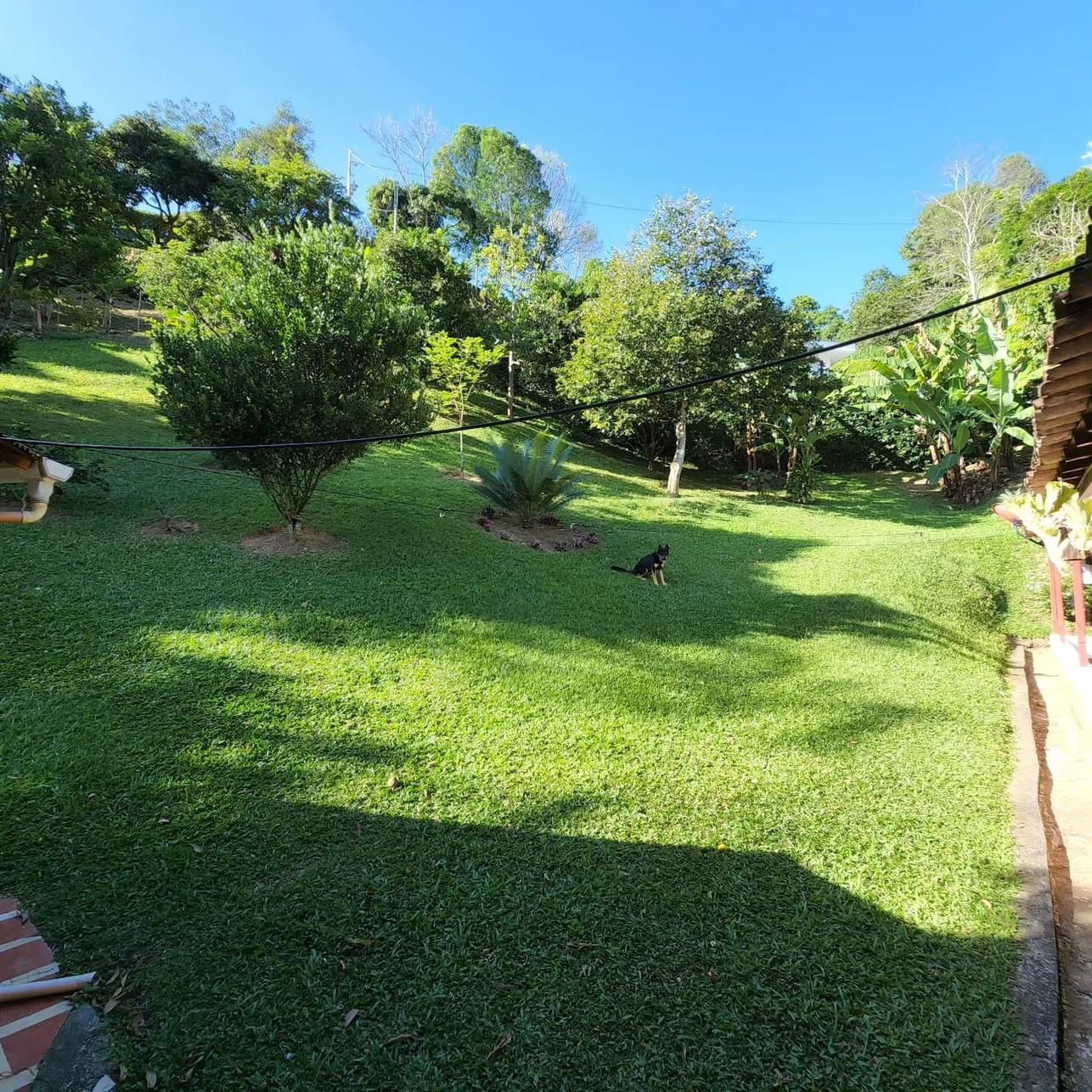 Finca en venta Antioquia Girardota Centro 2600 m2 Habitaciones 2 Baños 2 Garajes 4 Precio $560000000