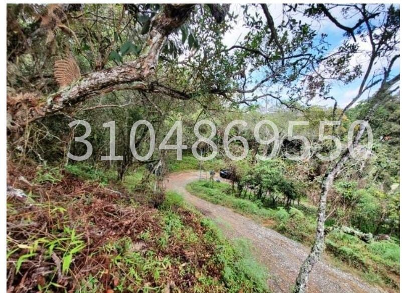 Lote en venta Antioquia San Vicente San Vicente 4326 m2 Habitaciones 0 Baños 0 Garajes 0 Precio $254335200