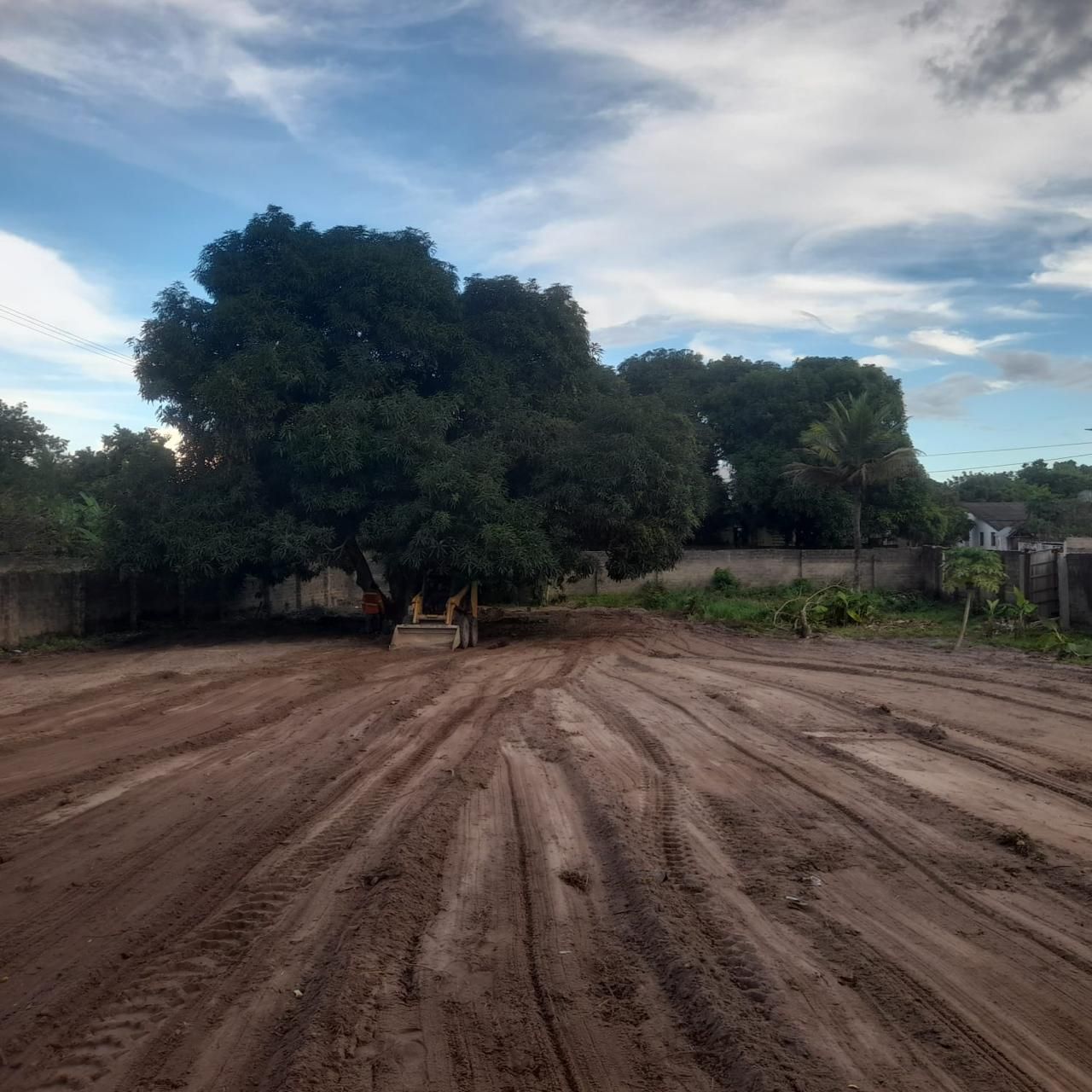 Lote en venta Atlántico Polonuevo Polonuevo 1830 m2 Habitaciones 0 Baños 0 Garajes 0 Precio $600000000