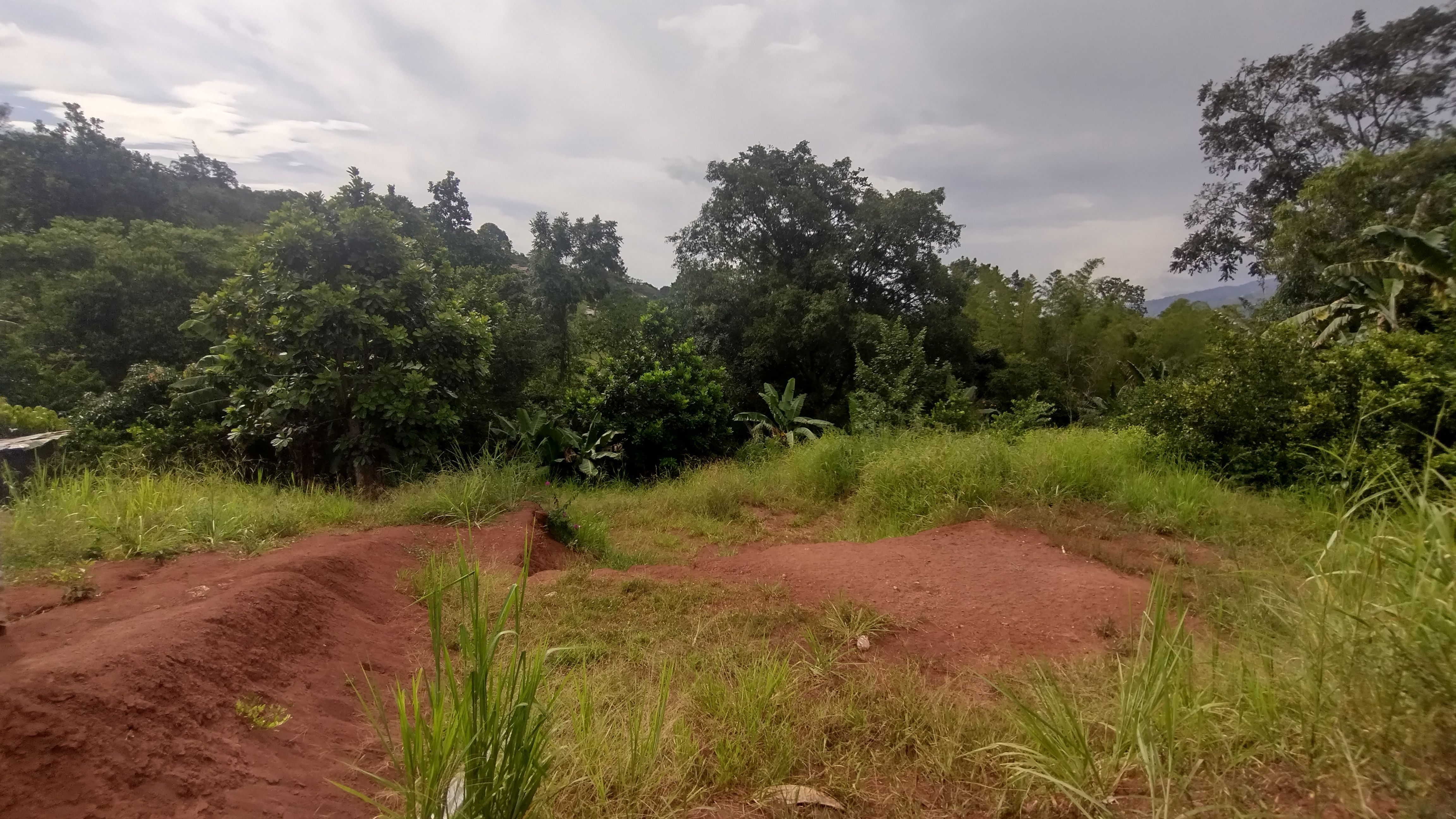 Lote en venta Santander Piedecuesta Ub Bellavista 1250 m2 Habitaciones 0 Baños 0 Garajes 0 Precio $280000000