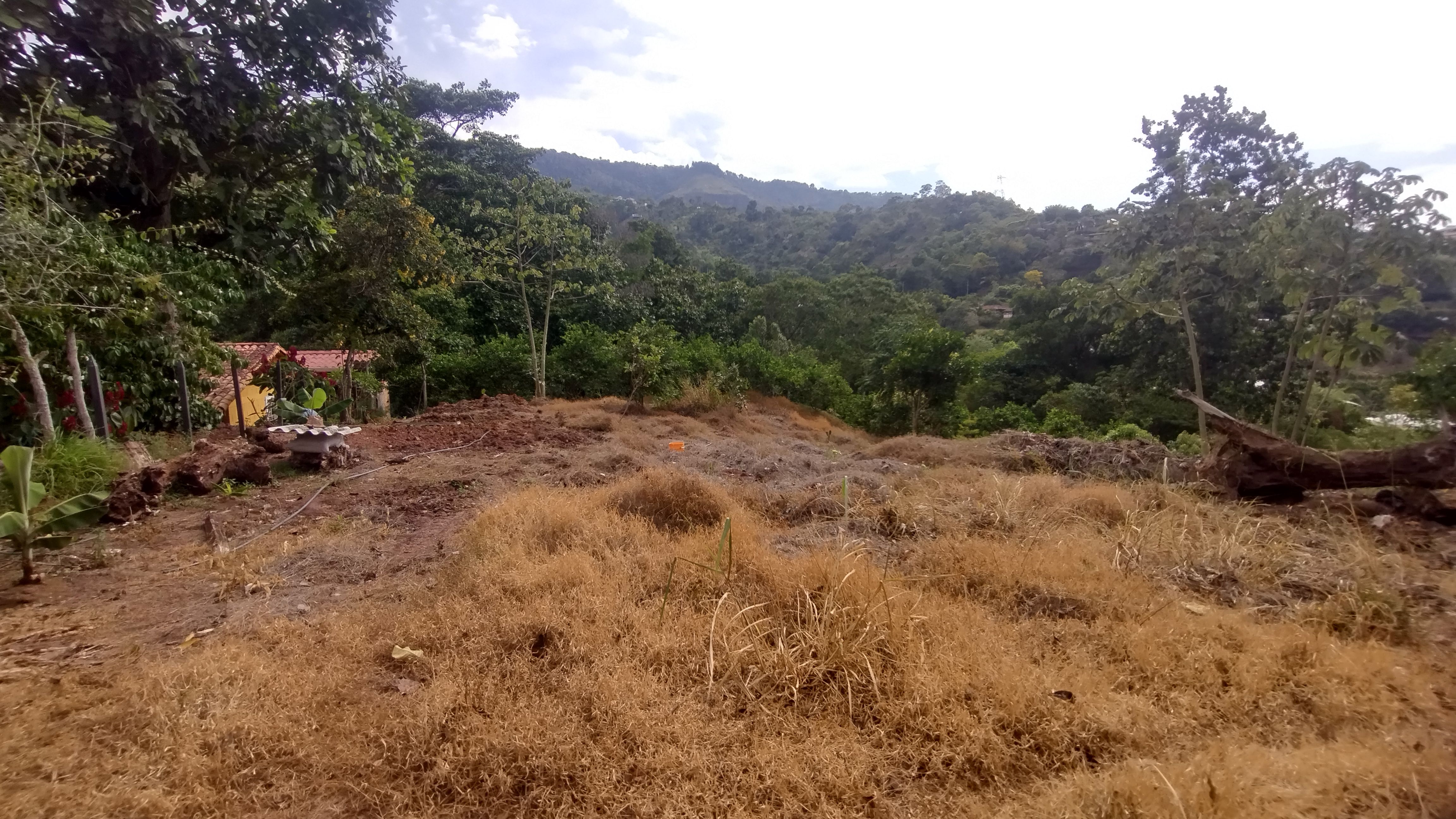 Lote en venta Santander Piedecuesta Ub Bellavista 1300 m2 Habitaciones 0 Baños 0 Garajes 0 Precio $400000000