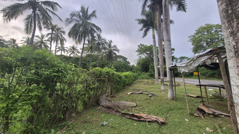 Lote en venta Bolívar Cartagena Cartagena 68760 m2 Habitaciones 0 Baños 0 Garajes 0 Precio $13752172000