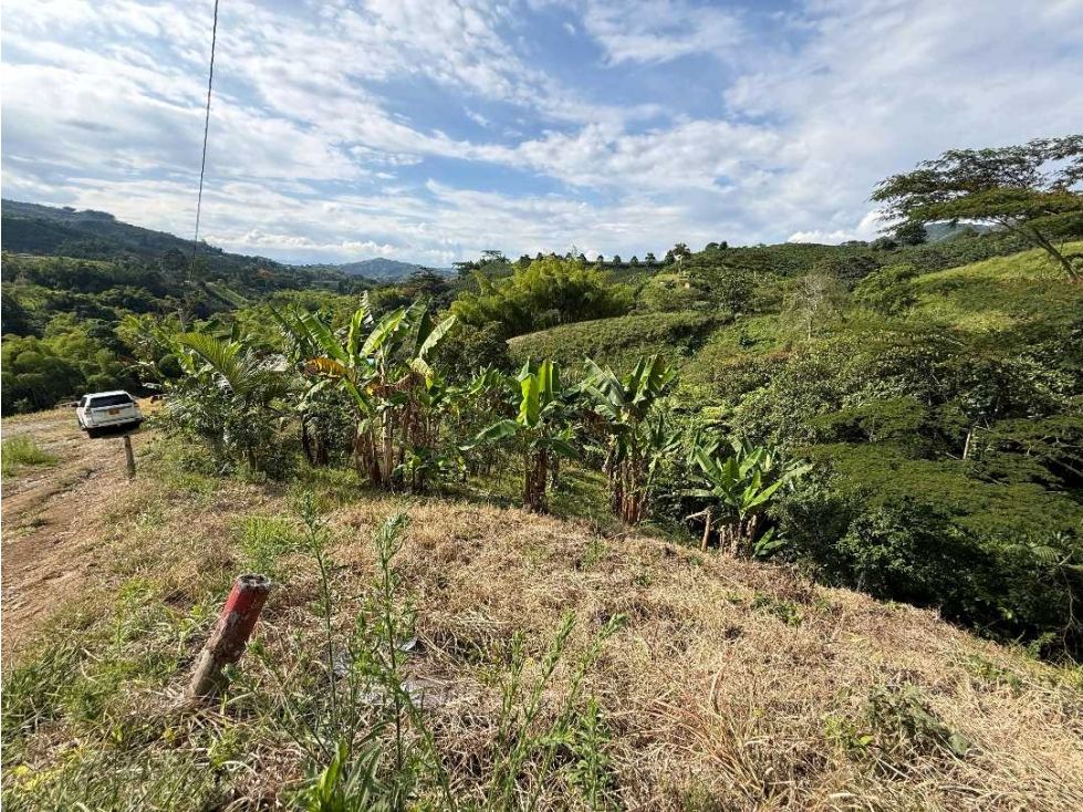 Lote en venta Caldas Chinchiná Chinchiná 1890 m2 Habitaciones 0 Baños 0 Garajes 0 Precio $230000000