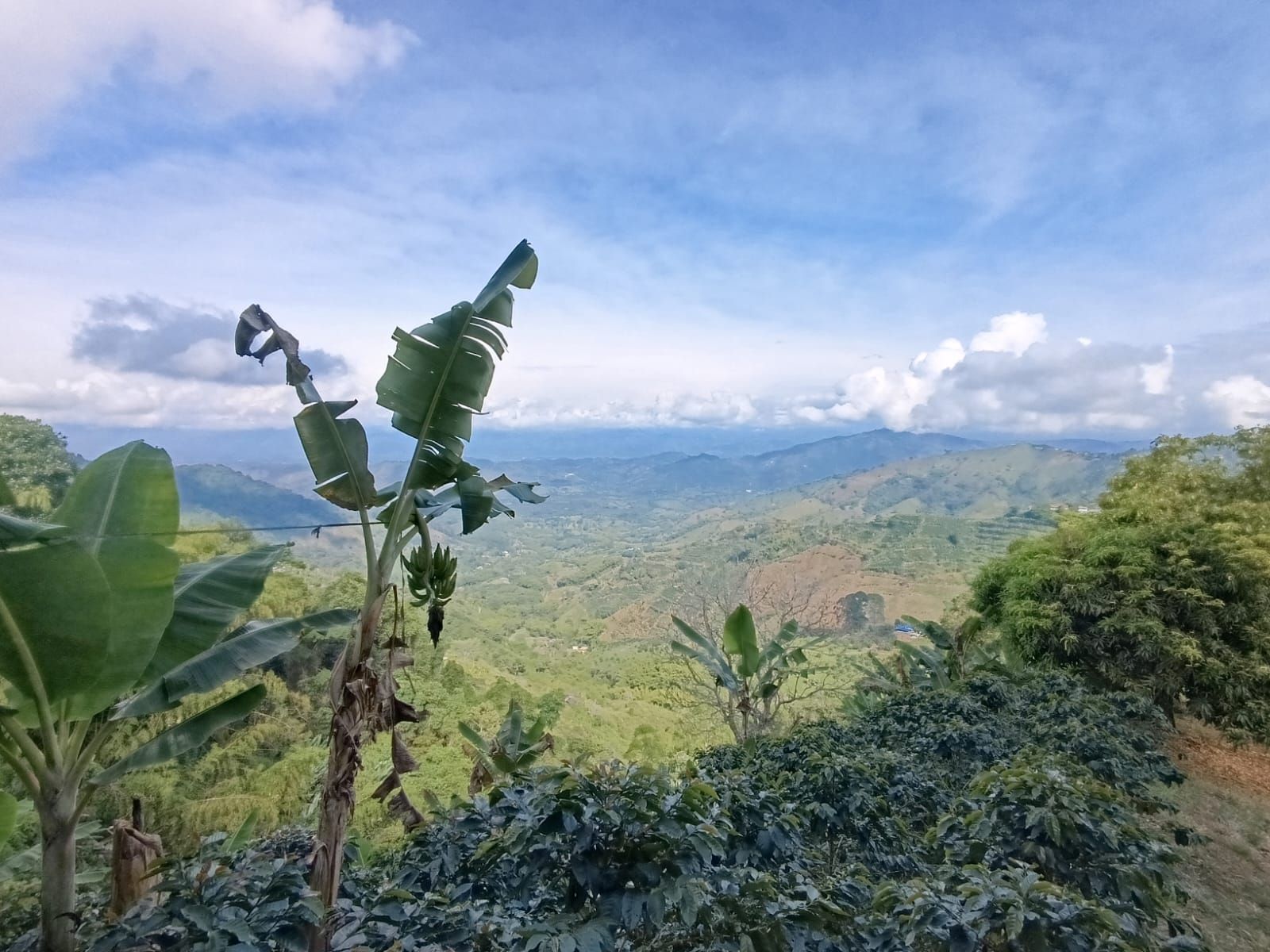Apartamento en venta Risaralda Pereira Jardin De Velez Y Velez 2600 m2 Habitaciones 1 Baños 1 Garajes 0 Precio $350000000