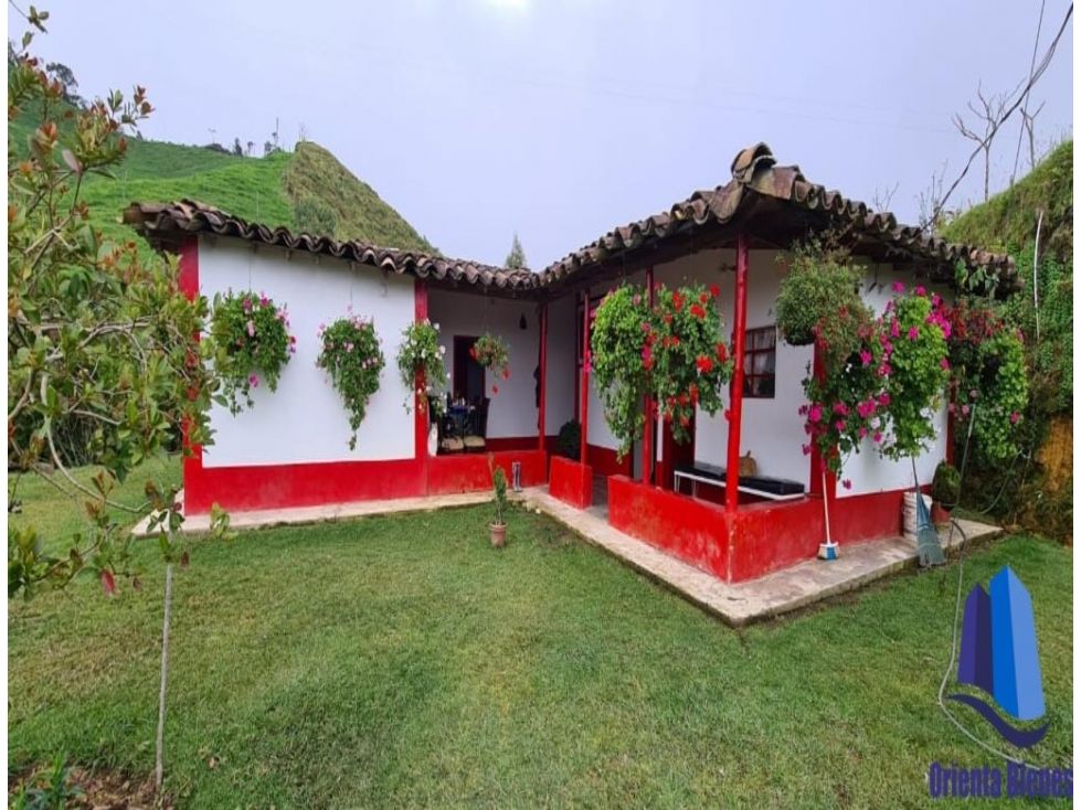 Finca en venta Antioquia Abejorral Abejorral 30000 m2 Habitaciones 4 Baños 1 Garajes 0 Precio $380000000