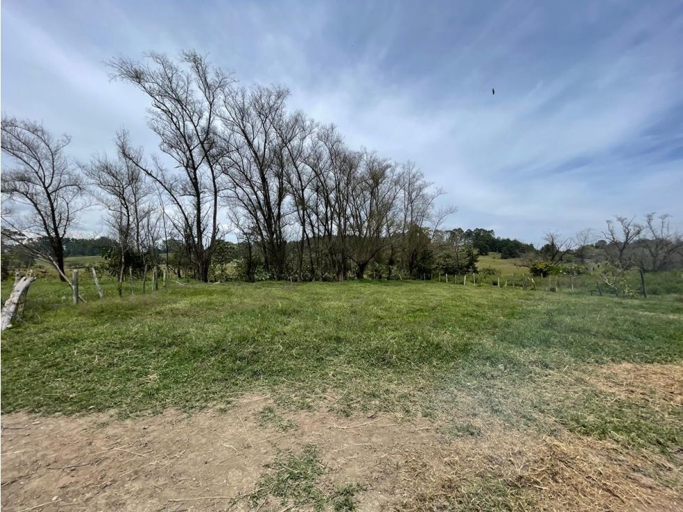 Lote en venta Antioquia Rionegro Cuatro Esquinas 4800 m2 Habitaciones 0 Baños 0 Garajes 0 Precio $330000000