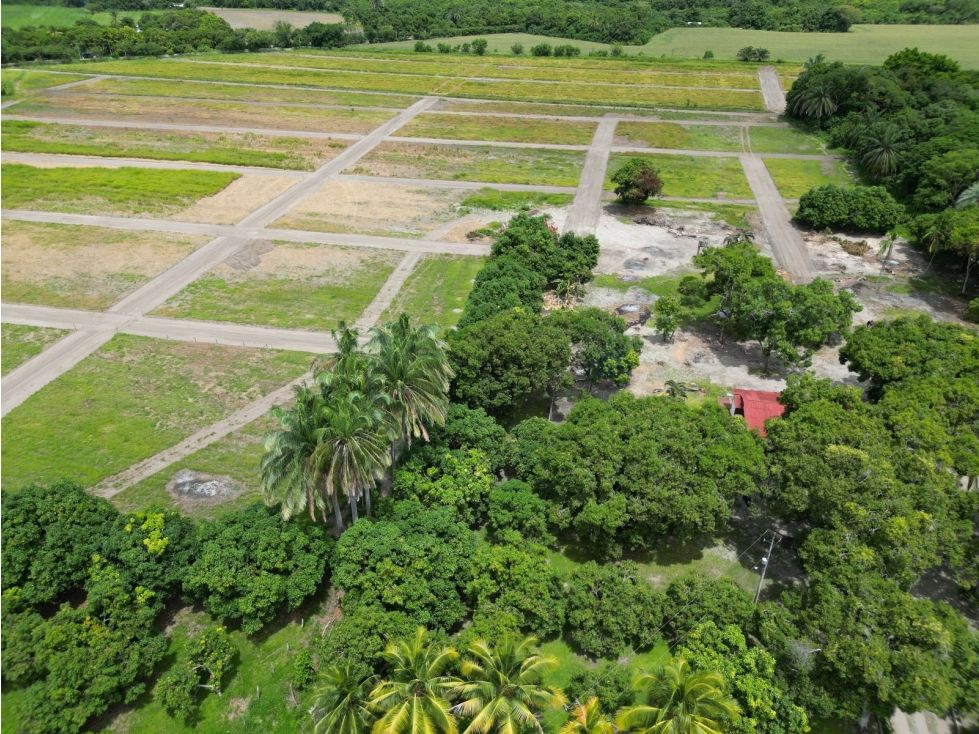 Lote en venta Tolima Espinal Espinal 84 m2 Habitaciones 0 Baños 0 Garajes 0 Precio $14000000