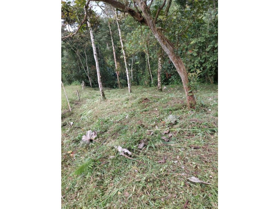 Lote en venta Caldas Manizales Ub Bella Montana 2000 m2 Habitaciones 0 Baños 0 Garajes 0 Precio $200000000