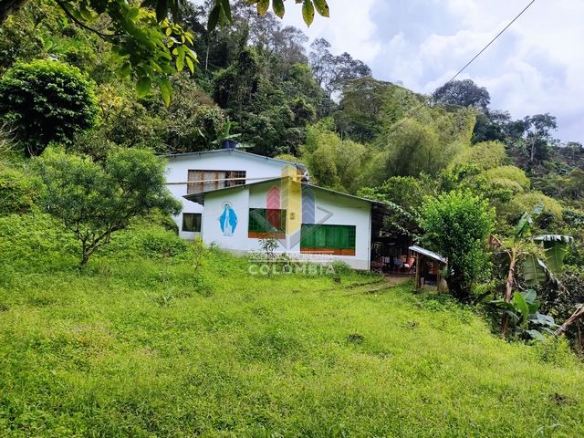 Finca en venta Tolima Ibagué Ub Los Molinos 144 m2 Habitaciones 4 Baños 2 Garajes 0 Precio $270000000