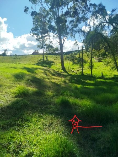 Lote en venta Antioquia El Carmen De Viboral Vereda Cristo Rey 12435 m2 Habitaciones 0 Baños 0 Garajes 0 Precio $935000000