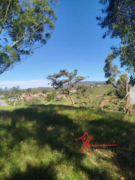 Lote en venta Antioquia El Carmen De Viboral El Carmen De Viboral 34705 m2 Habitaciones 0 Baños 0 Garajes 0 Precio $2610000000