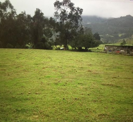 Lote en venta Cundinamarca La Calera La Calera 5216 m2 Habitaciones 0 Baños 0 Garajes 0 Precio $4068000000