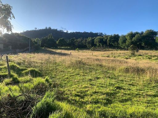 Lote en venta Cundinamarca La Calera La Calera 10731 m2 Habitaciones 0 Baños 0 Garajes 0 Precio $1000000000