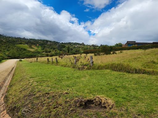 Lote en venta Cundinamarca Sopó Urbano Centro 10016 m2 Habitaciones 0 Baños 0 Garajes 0 Precio $1000000000