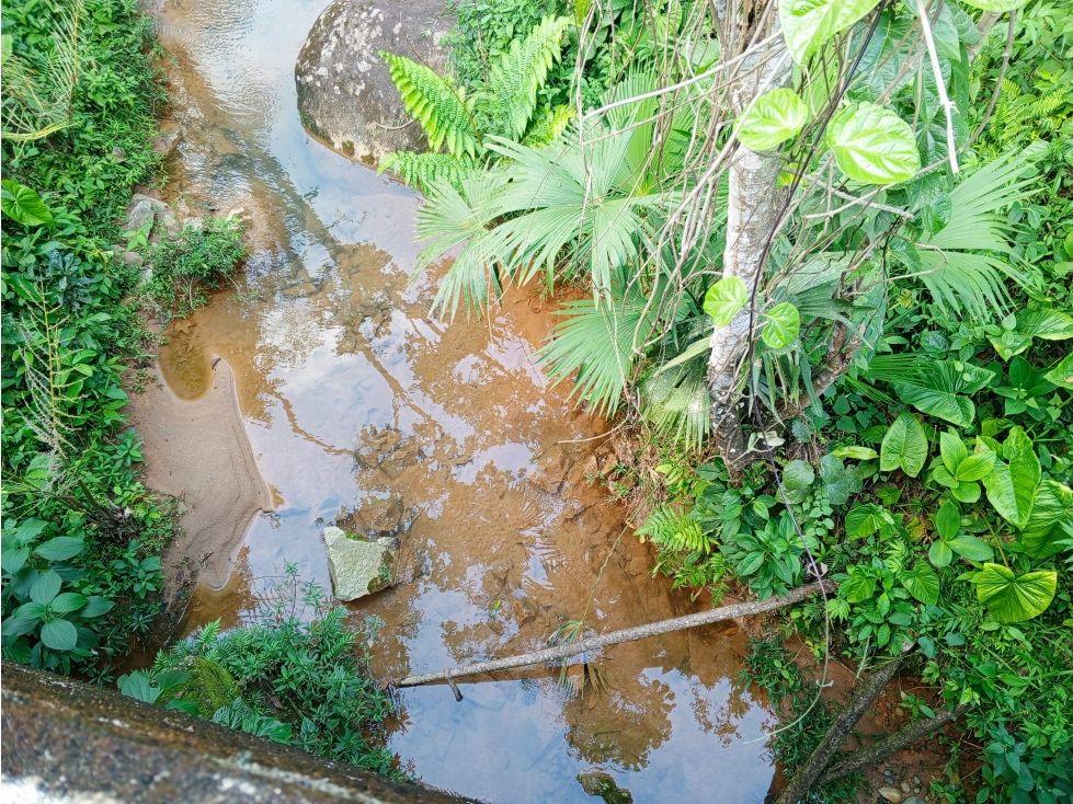 Lote en venta Antioquia San Rafael San Rafael 9800 m2 Habitaciones 0 Baños 0 Garajes 0 Precio $130000000