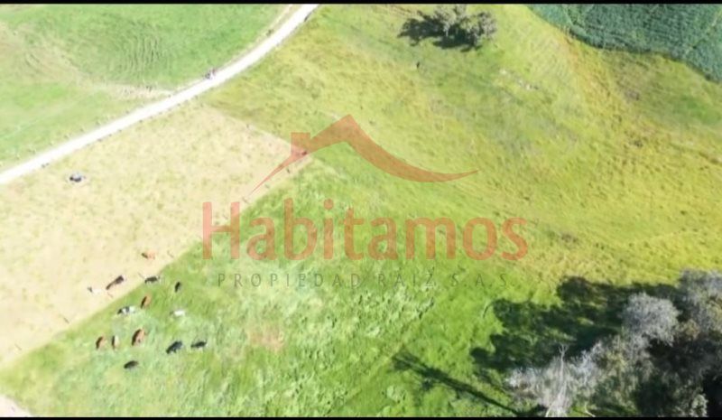 Lote en venta Antioquia San Pedro San Pedro 1807 m2 Habitaciones 0 Baños 0 Garajes 0 Precio $271000000