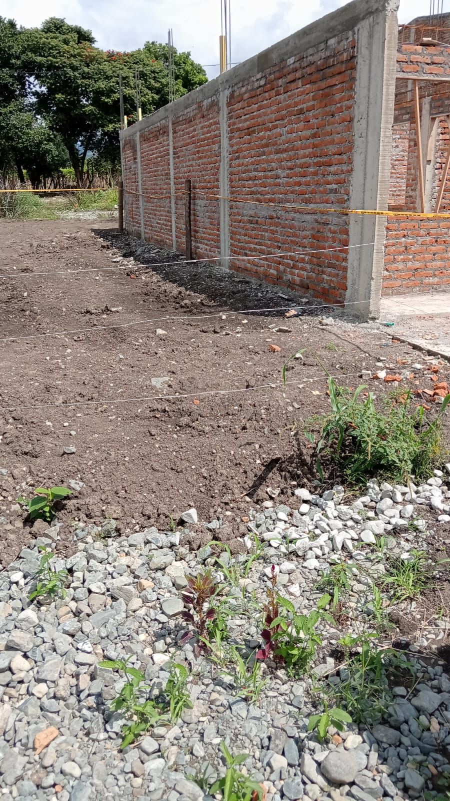 Lote en venta Valle Del Cauca Ginebra Ginebra 0 m2 Habitaciones 0 Baños 0 Garajes 0 Precio $64000000