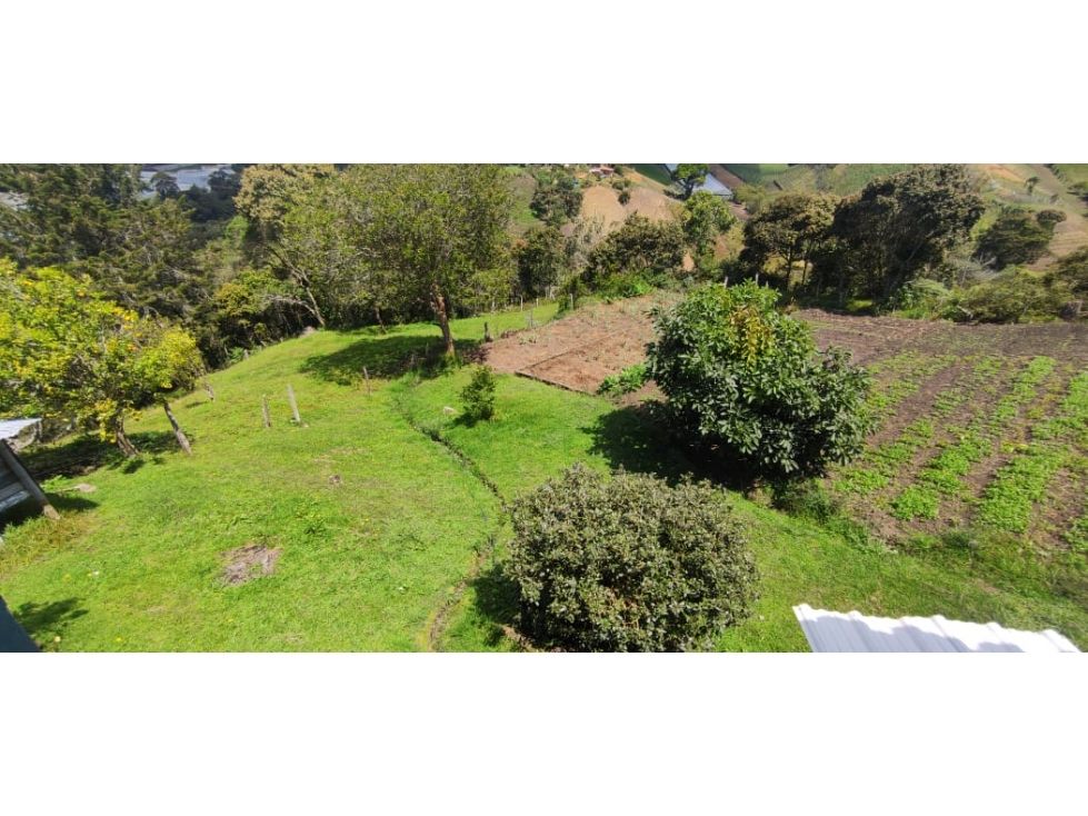 Finca en venta Antioquia Marinilla Marinilla 300 m2 Habitaciones 2 Baños 1 Garajes 0 Precio $1500000000