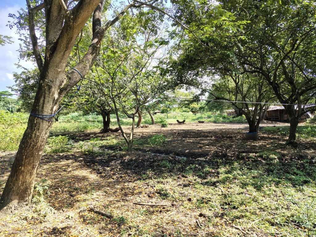 Lote en venta Valle Del Cauca Cali Sector Patio Bonito 0 m2 Habitaciones 0 Baños 0 Garajes 0 Precio $3500000000