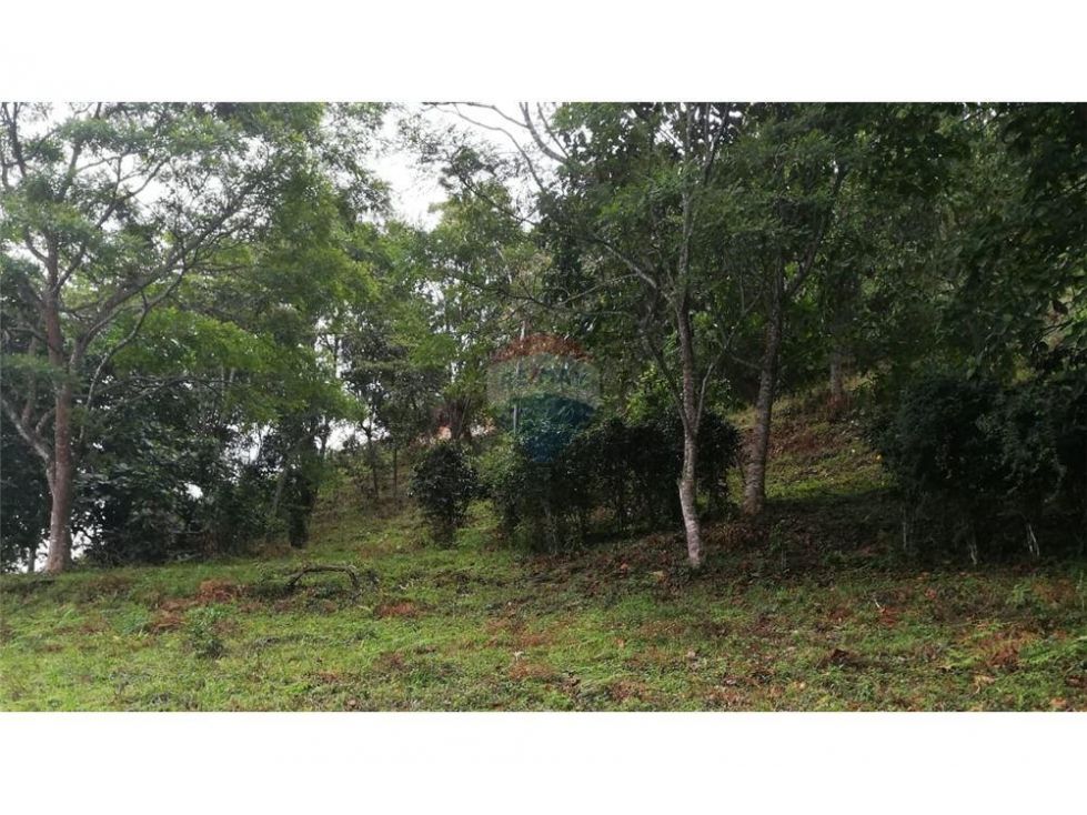 Lote en venta Cundinamarca Sasaima Sasaima 7629 m2 Habitaciones 0 Baños 0 Garajes 0 Precio $280000000