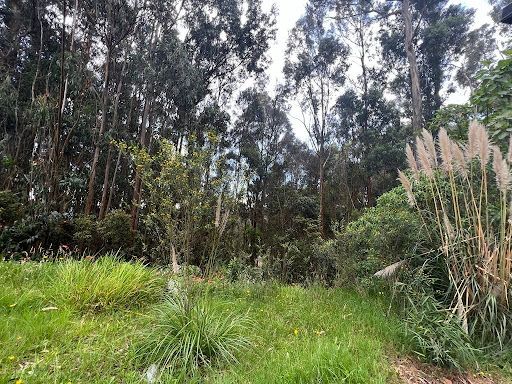 Lote en venta Cundinamarca Chía Chia 3096 m2 Habitaciones 0 Baños 0 Garajes 0 Precio $1050000000