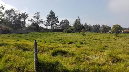 Lote en venta Cundinamarca Bogotá Guaymaral 1 m2 Habitaciones 0 Baños 0 Garajes 0 Precio $1500000000