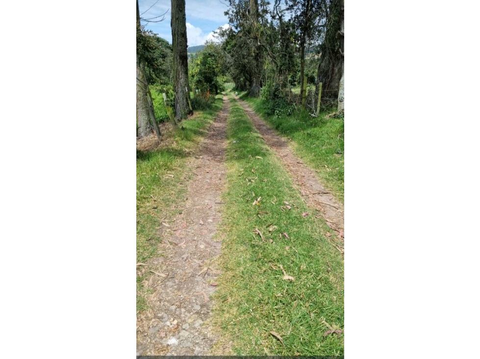 Finca en venta Cundinamarca El Rosal El Rosal 122352 m2 Habitaciones 0 Baños 0 Garajes 0 Precio $2450000000