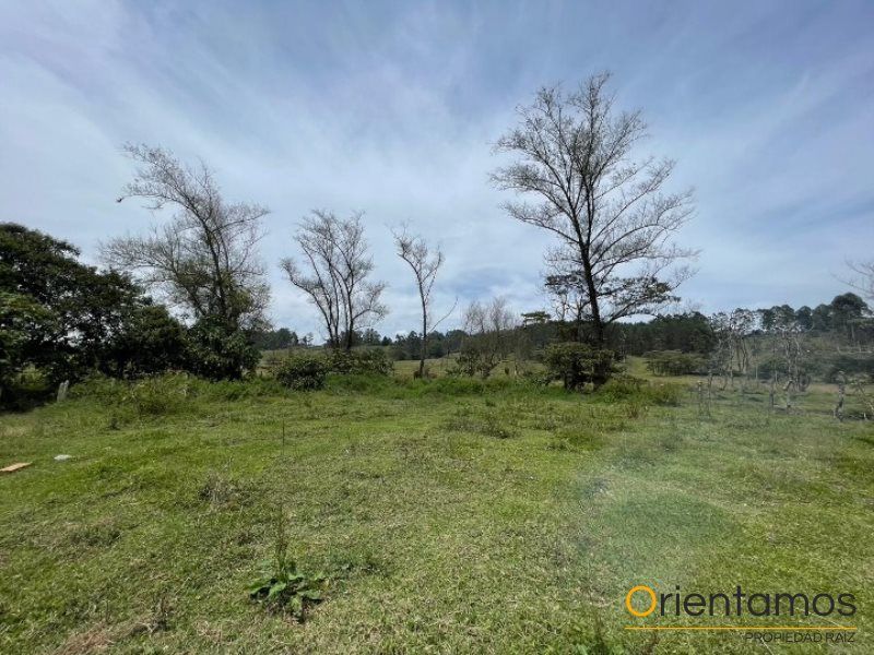 Lote en venta Antioquia Rionegro Centro 4800 m2 Habitaciones 0 Baños 0 Garajes 0 Precio $330000000