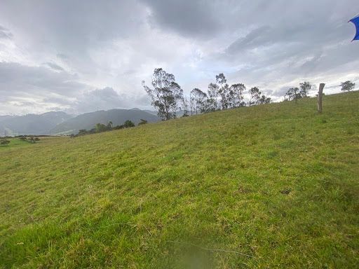 Lote en venta Cundinamarca La Calera La Plazuela 5291 m2 Habitaciones 0 Baños 0 Garajes 0 Precio $370370000