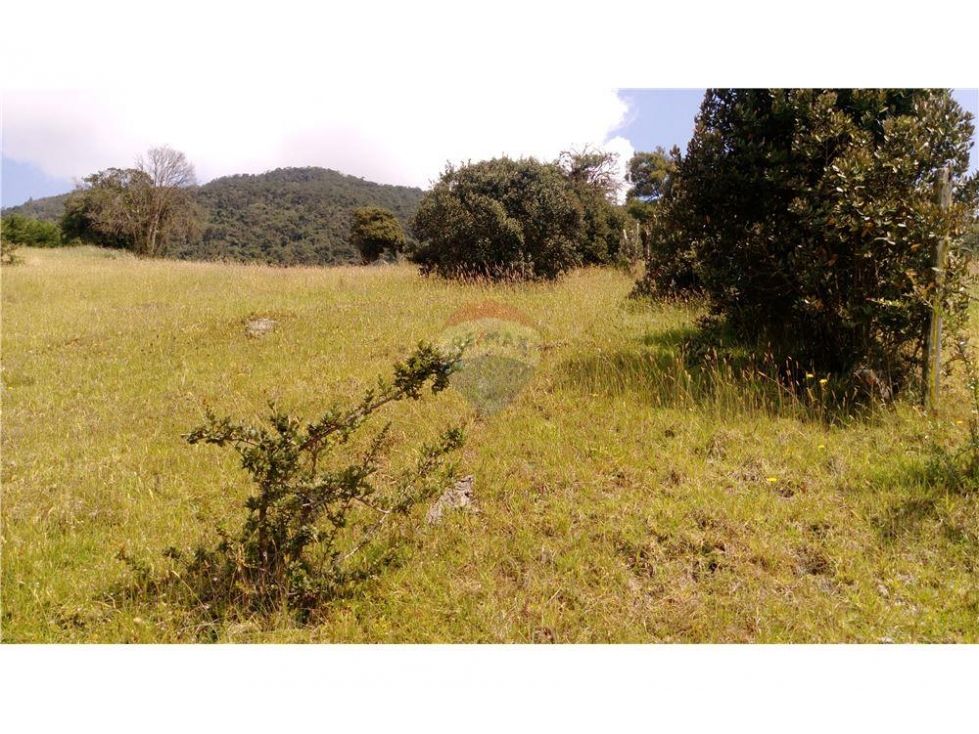 Lote en venta Cundinamarca La Calera Vereda El Salitre 1664 m2 Habitaciones 0 Baños 0 Garajes 0 Precio $480000000