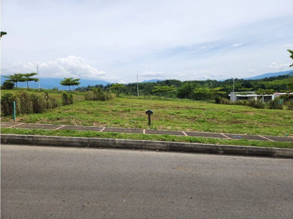 Lote en venta Caldas Viterbo Viterbo 240 m2 Habitaciones 0 Baños 0 Garajes 0 Precio $150000000