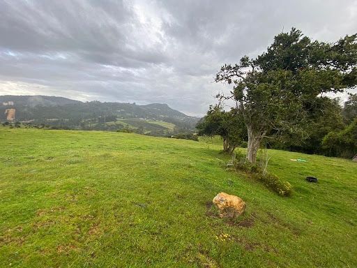 Lote en venta Cundinamarca La Calera La Plazuela 5931 m2 Habitaciones 0 Baños 0 Garajes 0 Precio $504000000