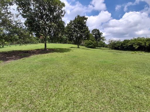 Finca en venta Risaralda Pereira Asd 65052 m2 Habitaciones 3 Baños 1 Garajes 0 Precio $2100000000