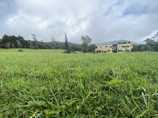 Lote en venta Cundinamarca Guasca Guasca 3209 m2 Habitaciones 0 Baños 0 Garajes 0 Precio $550000000