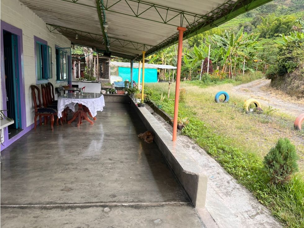 Finca en venta Caldas Manizales Manizales 500 m2 Habitaciones 3 Baños 2 Garajes 0 Precio $620000000