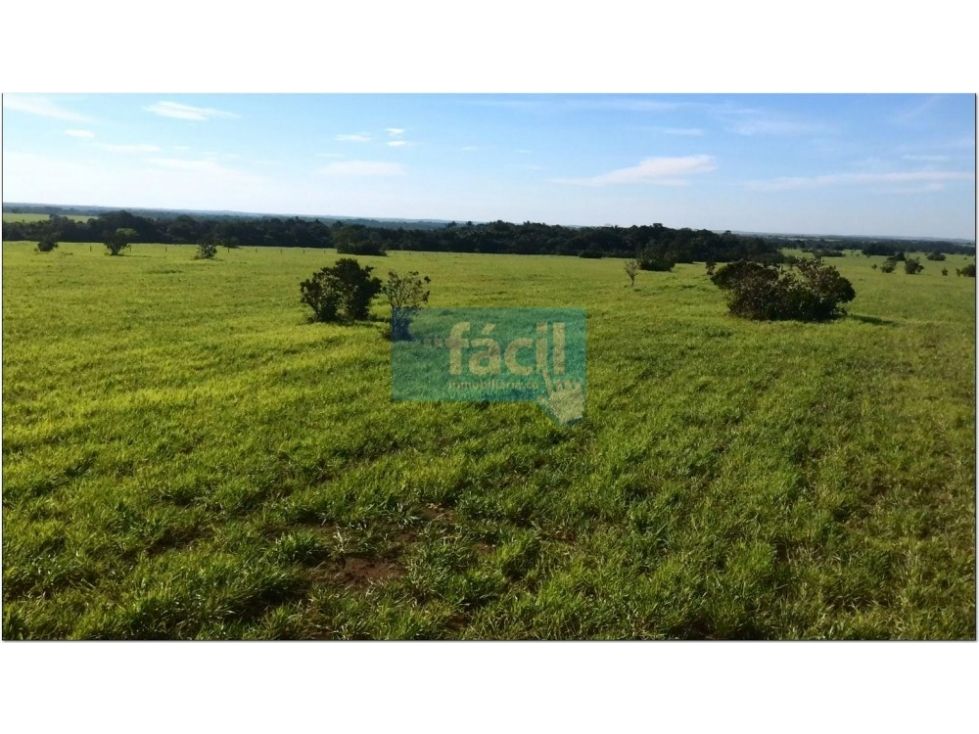 Finca en venta Vichada Cumaribo Cumaribo 30000 m2 Habitaciones 16 Baños 8 Garajes 0 Precio $121700000000