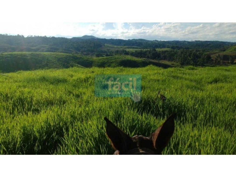 Finca en venta Antioquia Remedios Remedios 1396 m2 Habitaciones 3 Baños 1 Garajes 29 Precio $18148000000