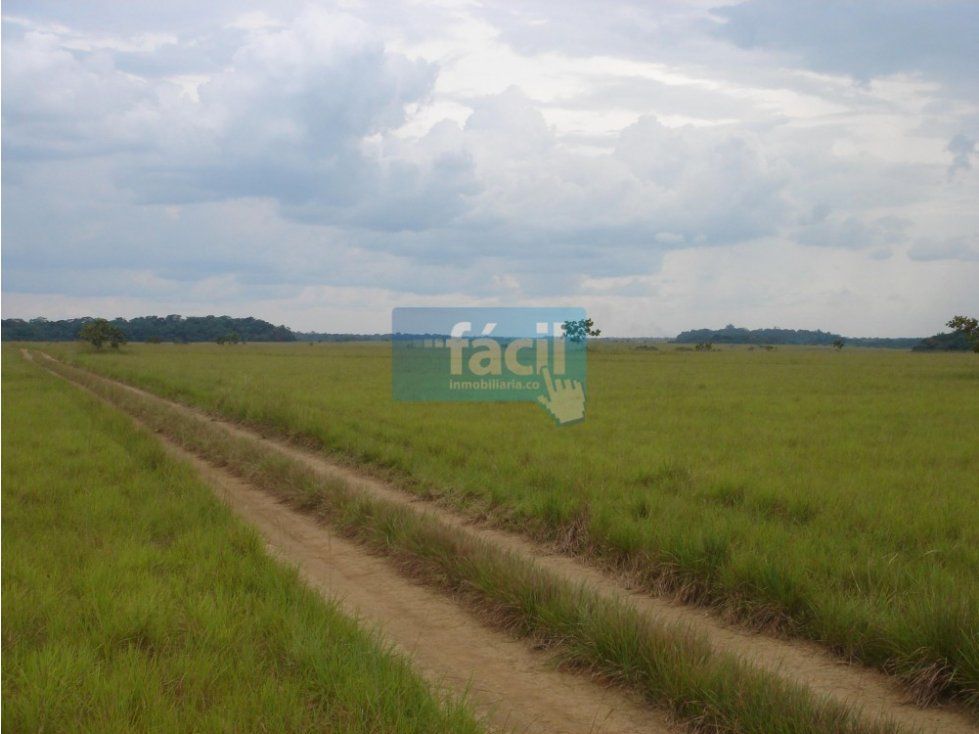 Finca en venta Vichada Cumaribo Cumaribo 16975 m2 Habitaciones 10 Baños 5 Garajes 0 Precio $49300000000