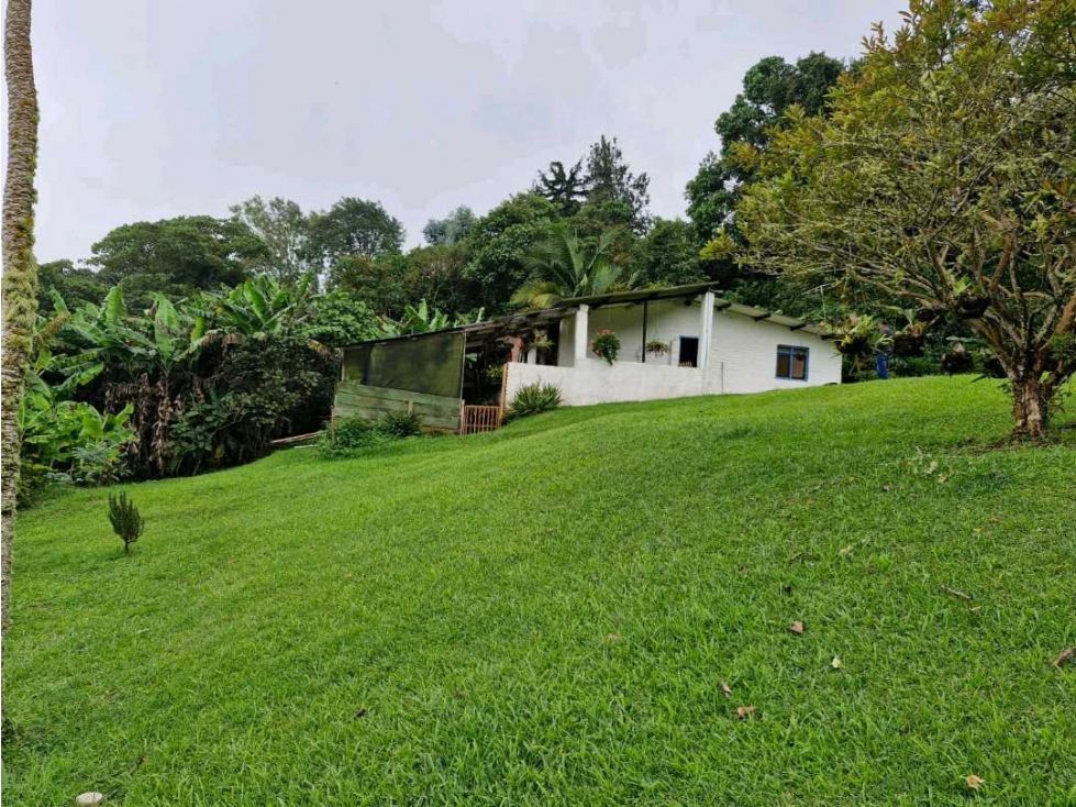 Lote en venta Valle Del Cauca Yumbo Yumbo 9600 m2 Habitaciones 0 Baños 1 Garajes 29 Precio $999000000