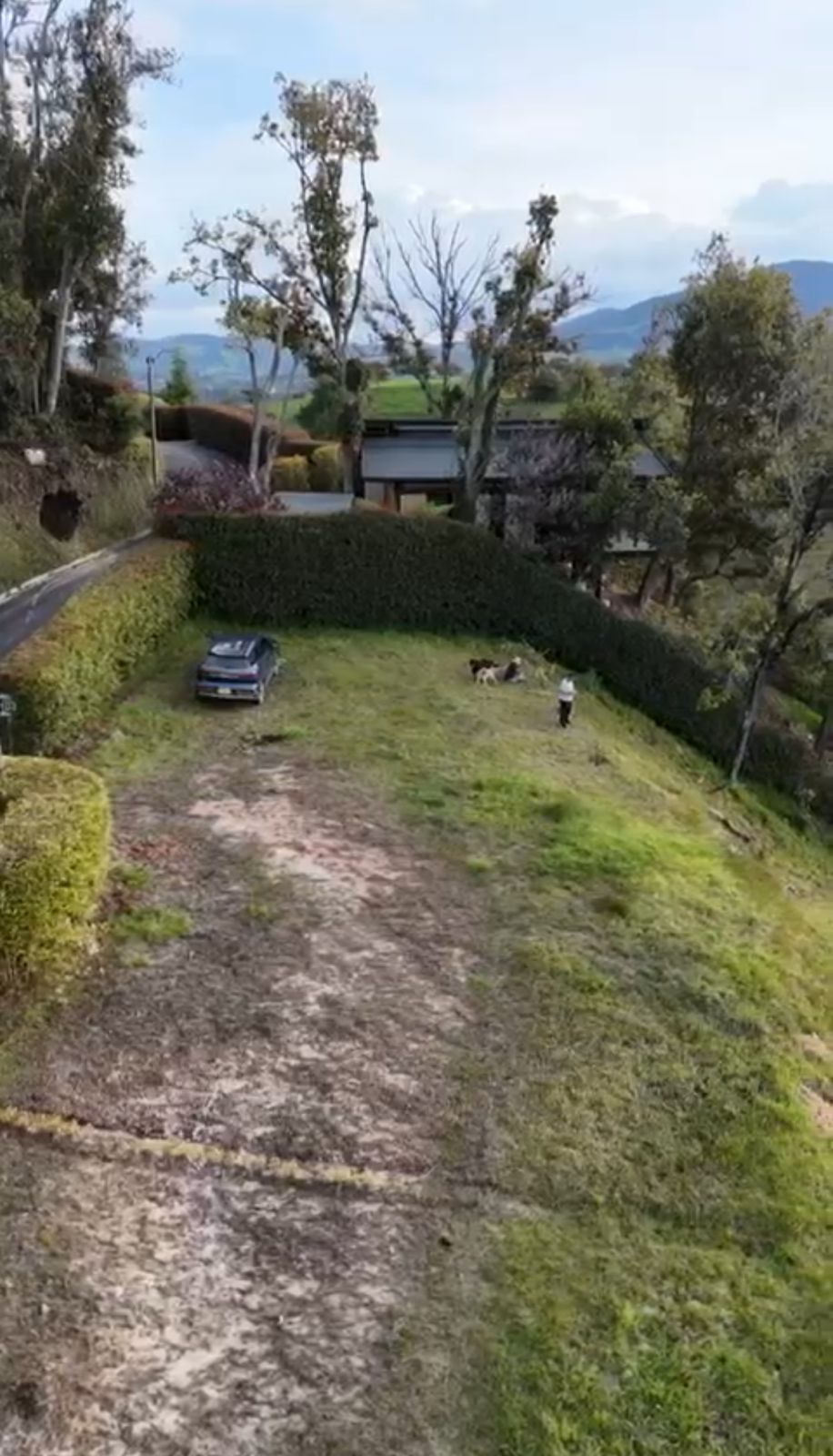 Lote en venta Antioquia San Pedro San Pedro 500 m2 Habitaciones 0 Baños 0 Garajes 0 Precio $350000000