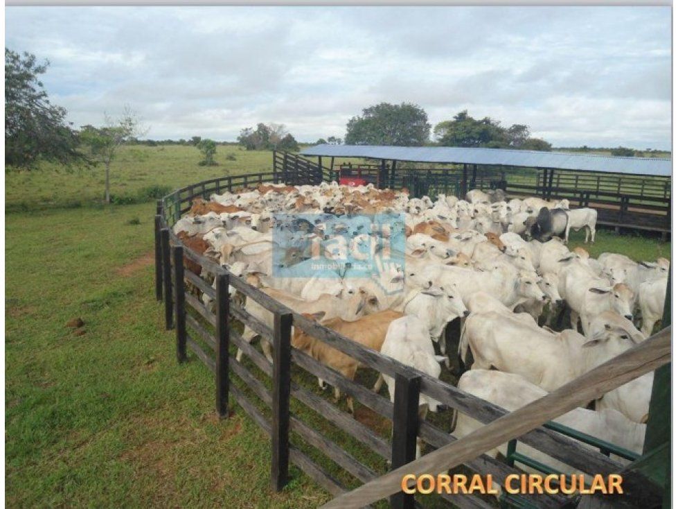 Finca en venta Vichada Cumaribo Cumaribo 5508 m2 Habitaciones 4 Baños 2 Garajes 0 Precio $17500000000