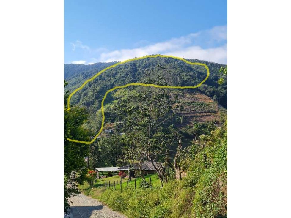 Lote en venta Valle Del Cauca Restrepo Restrepo 160801 m2 Habitaciones 0 Baños 0 Garajes 0 Precio $255000000