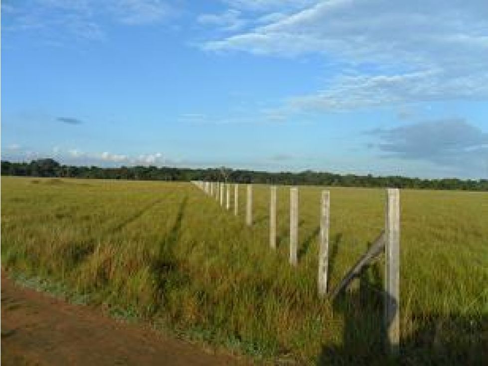 Finca en venta Vichada La Primavera La Primavera 6114 m2 Habitaciones 4 Baños 2 Garajes 0 Precio $19400000000