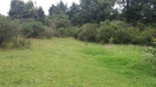 Lote en venta Cundinamarca Girardot Cn Lagos Del Peñon 80000 m2 Habitaciones 0 Baños 0 Garajes 0 Precio $40000000000