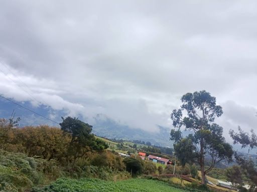 Lote en venta Cundinamarca Tabio Tabio 10000 m2 Habitaciones 0 Baños 0 Garajes 0 Precio $400000000